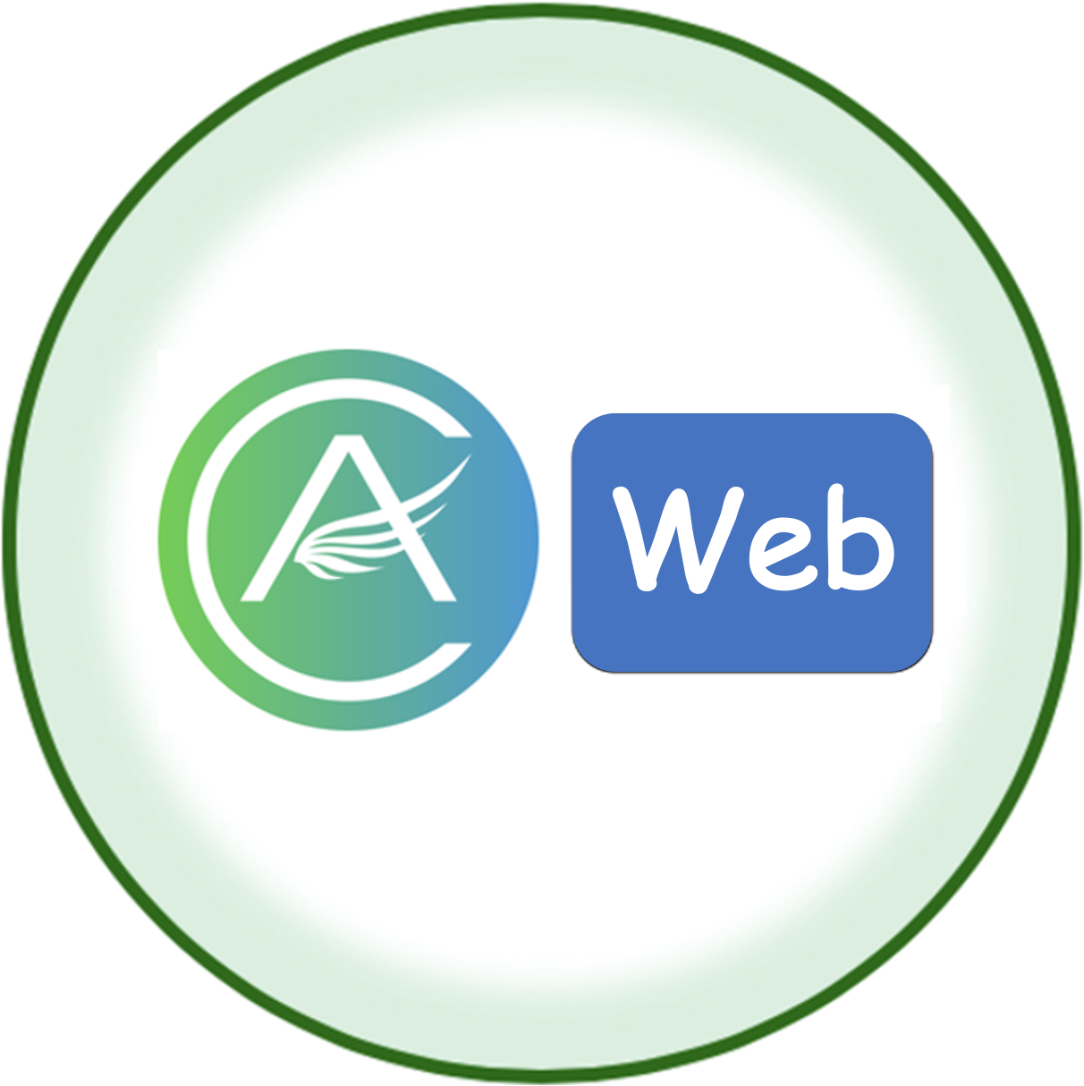 AcWing Web 应用课