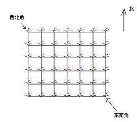 DP杂题专练