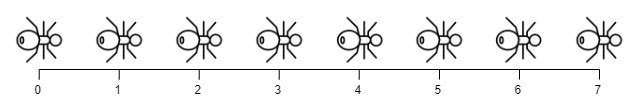 ants2.jpg