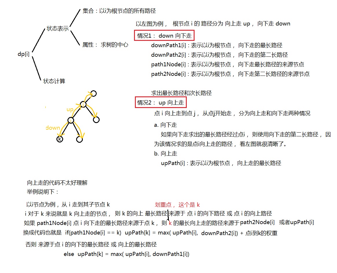 树的中心.jpg