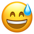 grinning-face-with-sweat_1f605.png