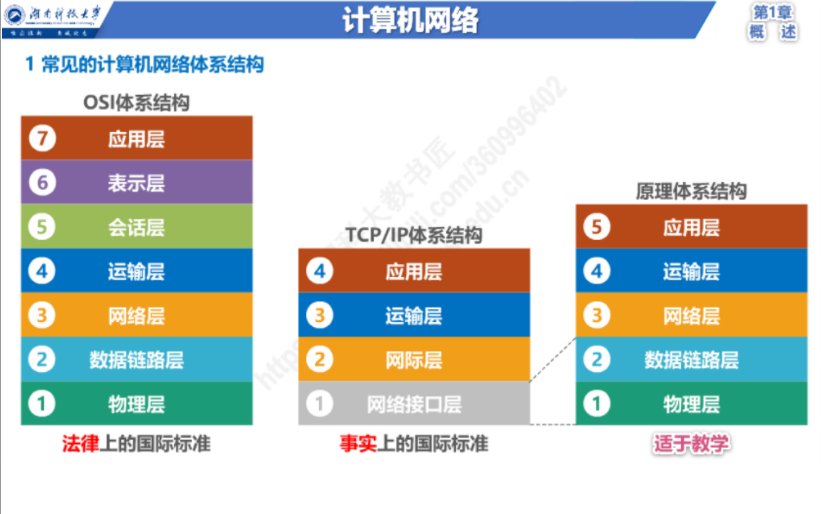 计算机网络体系结构.png