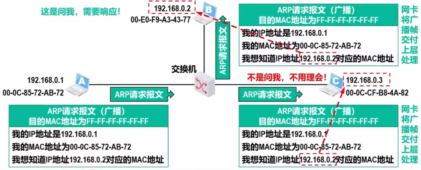 ARP请求