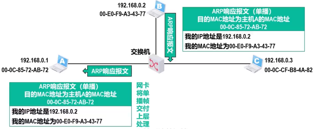 ARP相应