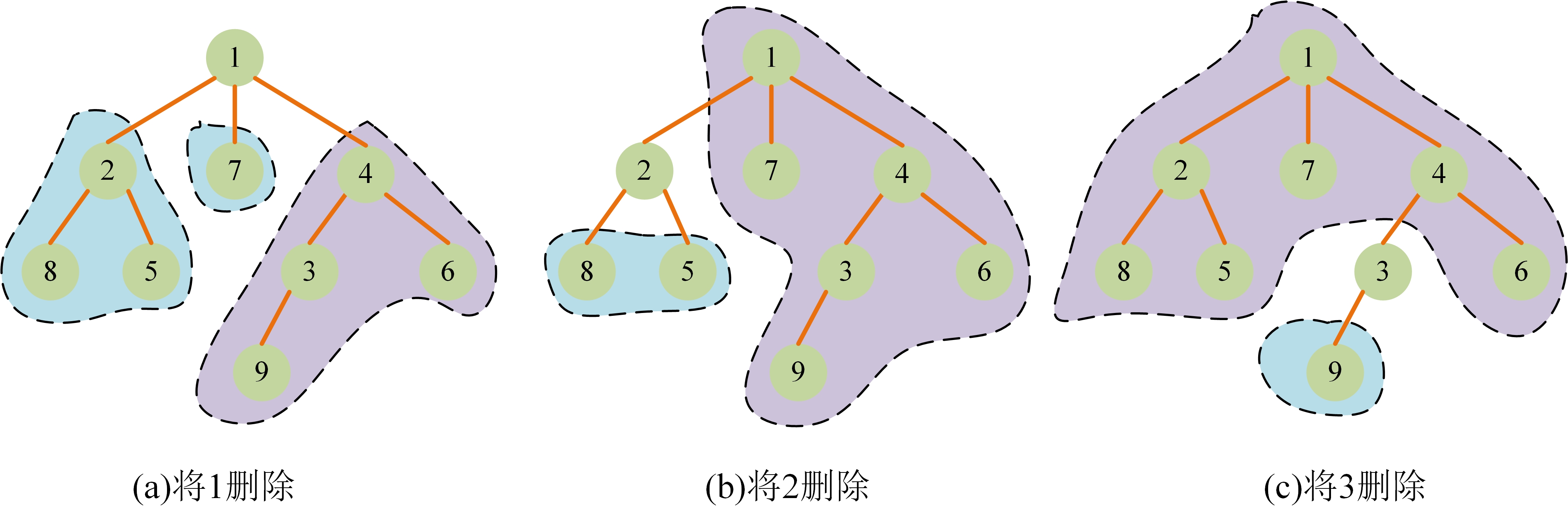 树与图的深度优先遍历-Acwing 846. 树的重心.jpg